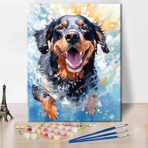 TISHIRON Paint by Number for Adults Paint by Number Dog Running Through Water for Adult Kids and Beginners Canvas Art Home Decor Artwork Painting by Numbers Canvas Gift 16x20 in