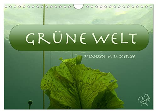 Baggersee - die grüne Welt (Wandkalender 2026 DIN A4 quer), CALVENDO Monatskalender: Unterwasserfotos von Pflanzen aus unseren Baggerseen (CALVENDO Natur)