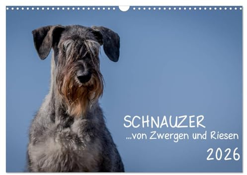 Schnauzer... von Zwergen und Riesen 2026 (Wandkalender 2026 DIN A3 quer), CALVENDO Monatskalender: Schnauzer in viele Varianten und Größen (CALVENDO Tiere)