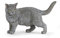 Papo 54040 - Figur, Chartreux