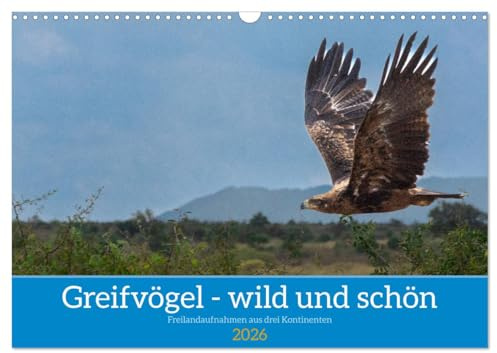 Greifvögel - wild und schön (Wandkalender 2026 DIN A3 quer), CALVENDO Monatskalender: Greifvögel in ihrer natürlichen Umgebung (CALVENDO Natur)