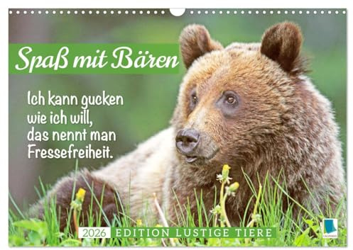 Spaß mit Bären: Edition lustige Tiere (Wandkalender 2026 DIN A3 quer), CALVENDO Monatskalender: Bären: Meister Petz, freche Sprüche zum täglichen Wahnsinn im Job (CALVENDO Tiere)