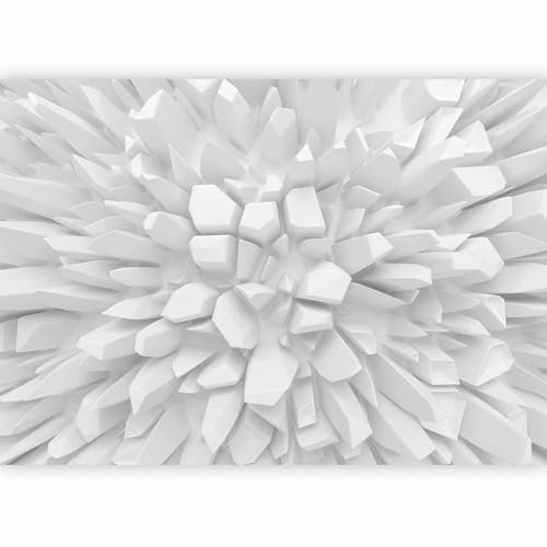 Fotomurale murando Carta da parati 300x210 cm TNT Murale alla moda Decorazione da Muro XXL Poster Gigante Design Carta per pareti astrazione 3D ottico a-A-0134-a-a