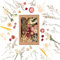Yamitora Trockenblumen Getrocknete Blumen Trockenblumen Zum Basteln Klein Trockenblumen Schleierkraut Deko für Kerzen Deko Scrapbooking Hochzeitsdekoration
