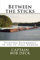 Between the Sticks: piloting riverboats in the Saint Paul harbor (Mississippi River Harbor Towboating and Lake Superior Sailing, Band 2)