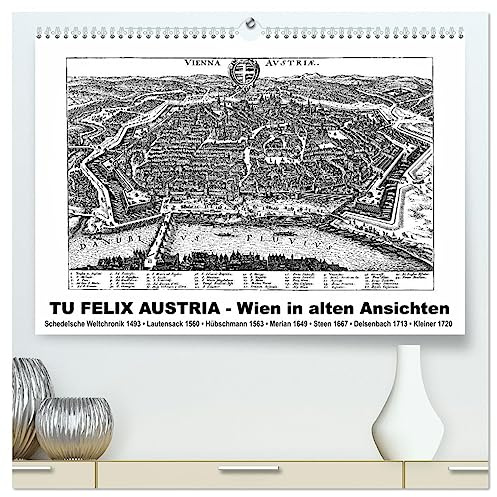 TU FELIX AUSTRIA - Wien in alten Ansichten (hochwertiger Premium Wandkalender 2026 DIN A2 quer), Kunstdruck in Hochglanz: Wien vom Mittelalter bis zum Barock (CALVENDO Orte)