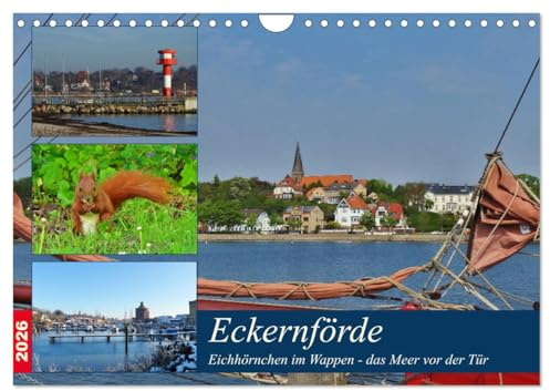 Eckernförde. Eichhörnchen im Wappen - das Meer vor der Tür (Wandkalender 2026 DIN A4 quer), CALVENDO Monatskalender: Urlaub, Eichhörnchen und Meer. (CALVENDO Orte)
