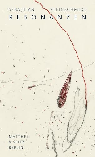 Resonanzen: Essays und Gespräche