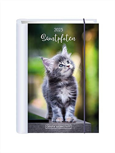 Terminplaner 2023 Samtpfoten: Terminplaner Hardcover