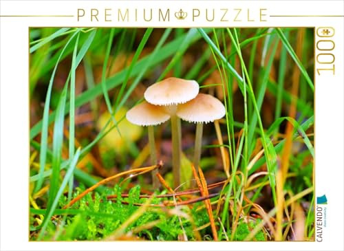 CALVENDO Puzzle Helmlinge | 1000 Teile Lege-Größe 64 x 48 cm Foto-Puzzle für glückliche Stunden