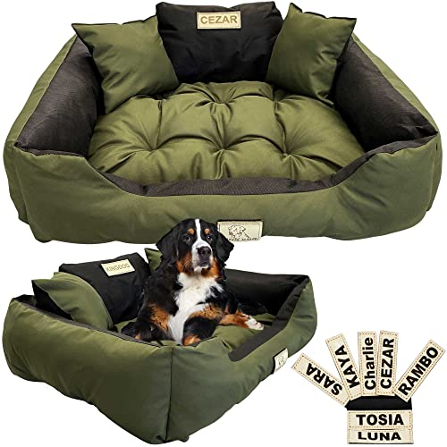 EDANTI Hundebett Hundekissen Katzenbett Personalisiert Hundesofa mit Namen L - XL für große mittelgroße & kleine Hunde (75x65, Grün)