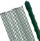 Gravidus Pflanzstäbe Pflanzstab Rankenhilfe Stahl mit Kunststoff Ummantelung Größe120 cm (20 Stück)