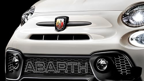 Ricreo Scritta per griglia anteriore compatibili con Abarth 500/595 Lettere per Calandra Adatte a Fiat punto e 500/595 Accessori Tuning adesive per decorazione (Grigio)