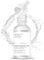 Argireline Solution 10%, Argireline Serum Hyaluron Serum, Anti-Falten Face Serum, Moisturiser Gesicht Hautpflege Serum, Feuchtigkeitsspendendes Gesichtsserum