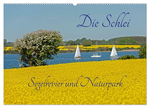 Die Schlei - Segelrevier und Naturpark (Wandkalender 2026 DIN A2 quer), CALVENDO Monatskalender: Die Schlei, ein Ostseefjord umgeben von Rapsfeldern. (CALVENDO Orte)
