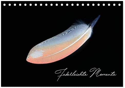Federleichte Momente (Tischkalender 2026 DIN A5 quer), CALVENDO Monatskalender: Federn in einem anderen Licht (CALVENDO Tiere)