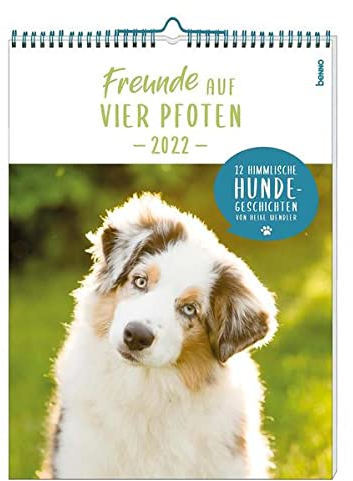 Freunde auf vier Pfoten 2024: 12 himmlische Hunde-Geschichten