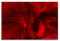 Brennende Leidenschaft - Abstrakt326_100x70cm Bild auf Leinwand Abstraktes Motiv knallig rot schwarz einteiliges Dekobild Kunstdruck auf Keilrahmen