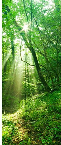 PPA DESIGN Sticker Porte Trompe l'oeil Nature Forêt - SAPP7111 (73x204cm)