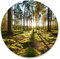 Muralo Sticker Kreis BÄUME Wald Sonnenstrahlen Pflanzen Natur Grün Landschaft 3D Wandtattoo Aufkleber Wohnzimmer Schlafzimmer Esszimmer Br. 100cm x Hö. 100cm