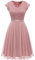 Dressystar Damen Cocktailkleid Elegant für Hochzeit Abendkleider A Linie Konfirmationskleider Kurz Sommerkleid Blush M