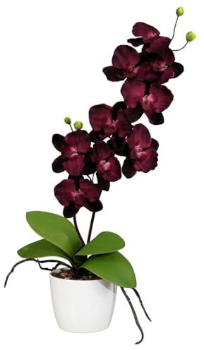 CREATIV green künstliche Orchidee 60cm im Topf 13cm in dunkel-lila I künstliche Schmetterlingsorchidee wie echt mit 9 Blüten & 2 Stiele im weißen Keramiktopf I Pflegeleicht & täuschend echt