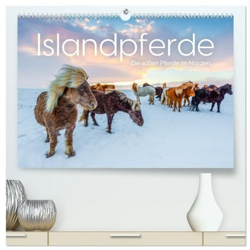 Islandpferde - Die süßen Pferde im Norden. (hochwertiger Premium Wandkalender 2026 DIN A2 quer), Kunstdruck in Hochglanz: Entdecke die Faszination der Islandpferde. (CALVENDO Tiere)