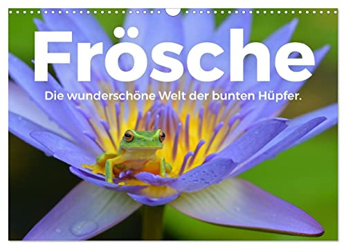 Frösche - Die wunderschöne Welt der bunten Hüpfer. (Wandkalender 2026 DIN A3 quer), CALVENDO Monatskalender: Tauchen Sie in die kunterbunte Welt der Frösche. (CALVENDO Tiere)