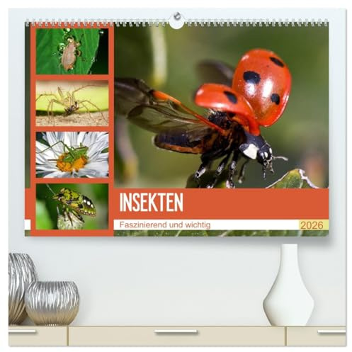 Insekten. Faszinierend und wichtig (hochwertiger Premium Wandkalender 2026 DIN A2 quer), Kunstdruck in Hochglanz: Skurrile Wunderwerke der Natur aus der Nähe betrachten (CALVENDO Tiere)