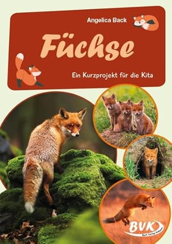 Füchse: Ein Kurzprojekt für die Kita (BVK-Kurzprojekte)