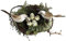 SM SunniMix Nest mit Sperling-Vogel und Ei - -Deko - Mini- mit Spatz - Frühlingsdeko