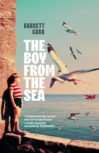 The Boy from the Sea: the heart-wrenching story of an ordinary Irish coastal town and an extraordinary boy