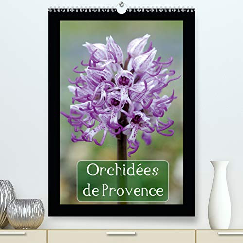 Orchidées de Provence (Premium, hochwertiger DIN A2 Wandkalender 2021, Kunstdruck in Hochglanz): Orchidées rencontrées dans les Alpilles et le Luberon (Calendrier mensuel, 14 Pages )
