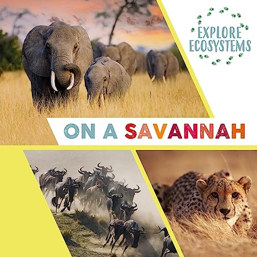 On a Savannah (Explore Ecosystems)