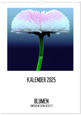 BLUMEN EINFACH IN SZENE GESETZT (Wandkalender 2025 DIN A3 hoch), CALVENDO Monatskalender: Das ganze Jahr in frische Blumen verpackt. (CALVENDO Natur)