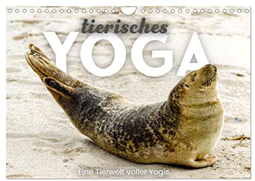 Tierisches Yoga - Eine Tierwelt voller Yogis. (Wandkalender 2026 DIN A4 quer), CALVENDO Monatskalender: Tierische Meditation und Bewegung. (CALVENDO Tiere)