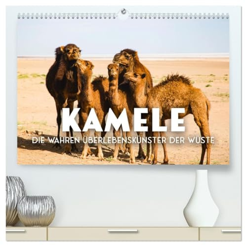 Kamele - die wahren Überlebenskünstler der Wüste. (hochwertiger Premium Wandkalender 2026 DIN A2 quer), Kunstdruck in Hochglanz: Die geheimnissvollen Tiere der Wüste. (CALVENDO Orte)