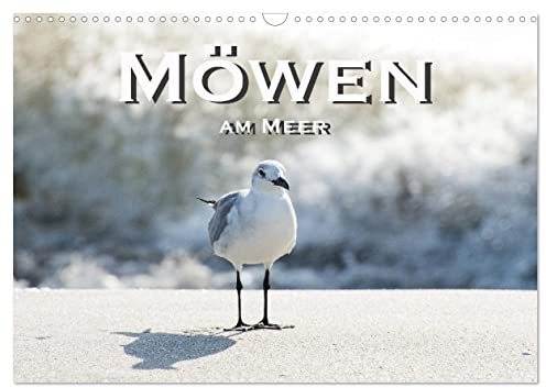 Möwen am Meer (Wandkalender 2026 DIN A3 quer), CALVENDO Monatskalender: Faszinierende Möwenbilder an Traumstränden (CALVENDO Tiere)