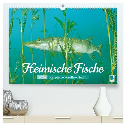 Heimische Fische: Karpfen, Forelle, Hecht (hochwertiger Premium Wandkalender 2026 DIN A2 quer), Kunstdruck in Hochglanz