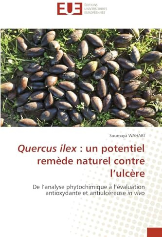 Quercus ilex: un potentiel remède naturel contre l'ulcère