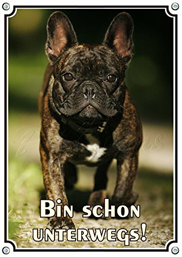 Petsigns Hundeschild - Französische Bulldogge - Bully Türschild aus Metall - TOP, DIN A4