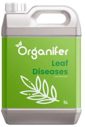 Blattkonzentrat - 5 L Für 5000 M2 - Pflanzengesundheit - Umweltfreundlich - Gartenpflege - Nachhaltige Pflanzenpflege - Ungiftig - Organifer