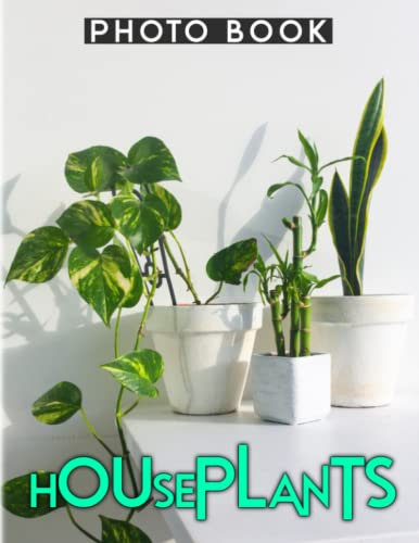 Houseplants Photobook: The Best Indoor Plants for Every Room | Wonder 40+ Illustrations Pages for Decor as Gift to Relaxation
