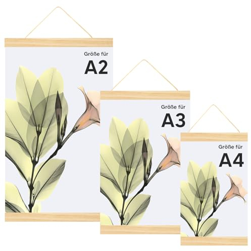 Dulov A2/A3/A4 Posterleiste 3er Set, Magnetisch Posterschiene Posterleisten 41/31/21CM, Posterrahmen Holz Poster Aufhänger,Bilderleiste Posterhänger für Poster, Bilderrahmen Kunstwerk, Fotos, Drucke