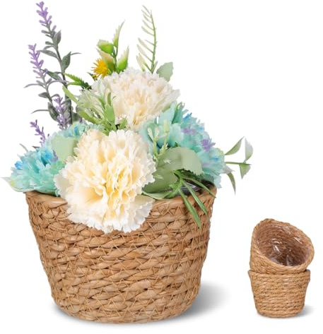 Kisangel 2 StüCk Pflanzenkorb Seegras, Handgewebte Seegras Blumentopf, üBertopf Geflochten Boho Mit Innenfutter, Kleine Dekorative PflanztöPfe Vielseitig füR Innen und AußEnbereich