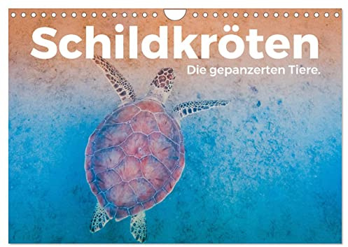 Schildkröten - Die gepanzerten Tiere. (Wandkalender 2026 DIN A4 quer), CALVENDO Monatskalender: Tauchen Sie ein in die tolle Welt der Schildkröten. (CALVENDO Orte)