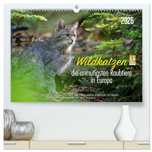 Wildkatzen - die anmutigsten Raubiere in Europa. (hochwertiger Premium Wandkalender 2026 DIN A2 quer), Kunstdruck in Hochglanz: Wunderschöne Fotos aus ... Mehr unter ingogerlach.com. (CALVENDO Tiere)