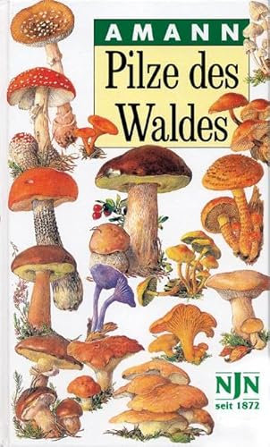 Pilze des Waldes: Teilausgabe von 'Bodenpflanzen des Waldes'. Taschenbildbuch der beachtenswertesten Pilze, Flechten, Moose, Farnpflanzen, Gräser und ... Waldes mit Textteil über deren Bau und Leben