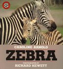 HarperCollins