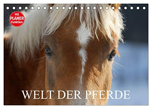 Welt der Pferde (Tischkalender 2025 DIN A5 quer), CALVENDO Monatskalender: Die Schönheit der Pferde in 13 zauberhaften Fotos (CALVENDO Tiere)